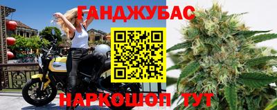 гидропоника Будённовск