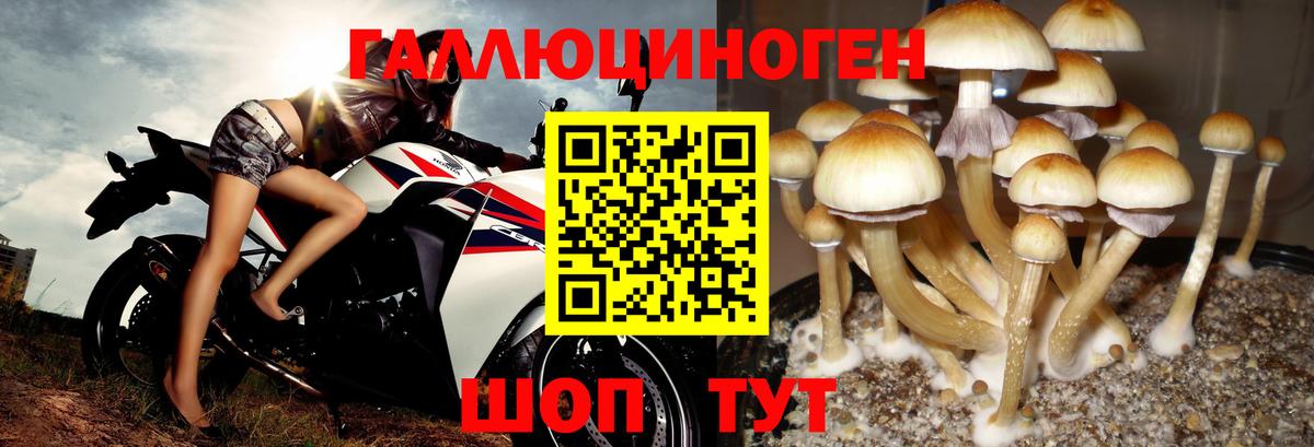 Галлюциногенные грибы мицелий Череповец